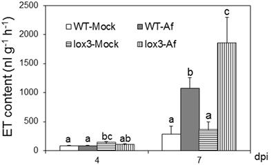 Seed-Derived Ethylene Facilitates Colonization but Not Aflatoxin Production by Aspergillus flavus in Maize